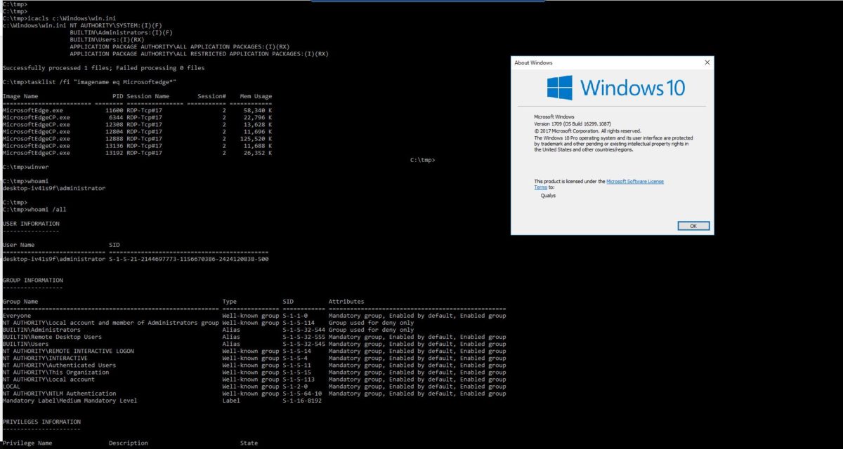 Microsoft Windows Local Privilege Escalation Vulnerability CVE 2019